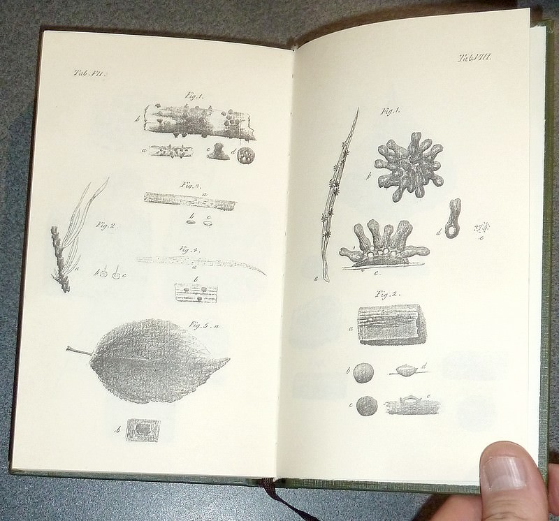 Observations mycologicae, praecipue ad illustradem, Floram Svecicam (2 volumes en 1)