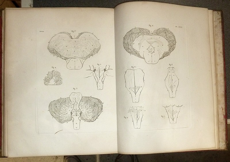 Oeuvres de Vicq-d'Azyr, recueillies et publiées avec des notes et un discours sur sa vie et ses ouvrages par Jacq. L. Moreau (6 volumes plus un Atlas)