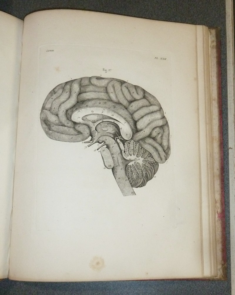 Oeuvres de Vicq-d'Azyr, recueillies et publiées avec des notes et un discours sur sa vie et ses ouvrages par Jacq. L. Moreau (6 volumes plus un Atlas)