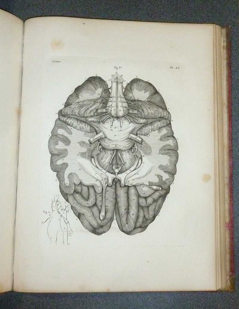 Oeuvres de Vicq-d'Azyr, recueillies et publiées avec des notes et un discours sur sa vie et ses ouvrages par Jacq. L. Moreau (6 volumes plus un Atlas)