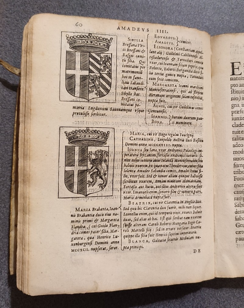 Sabaudorum ducum principumq Historiae gentilitiae libri duo (1599)