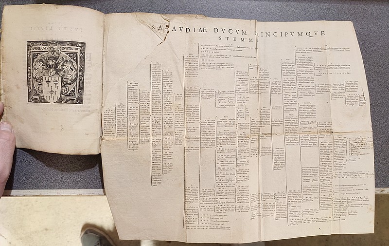 Sabaudorum ducum principumq Historiae gentilitiae libri duo (1599)