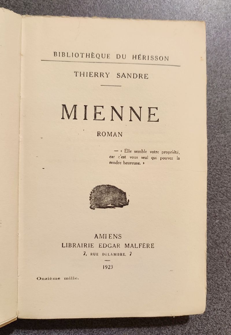 Mienne. Roman