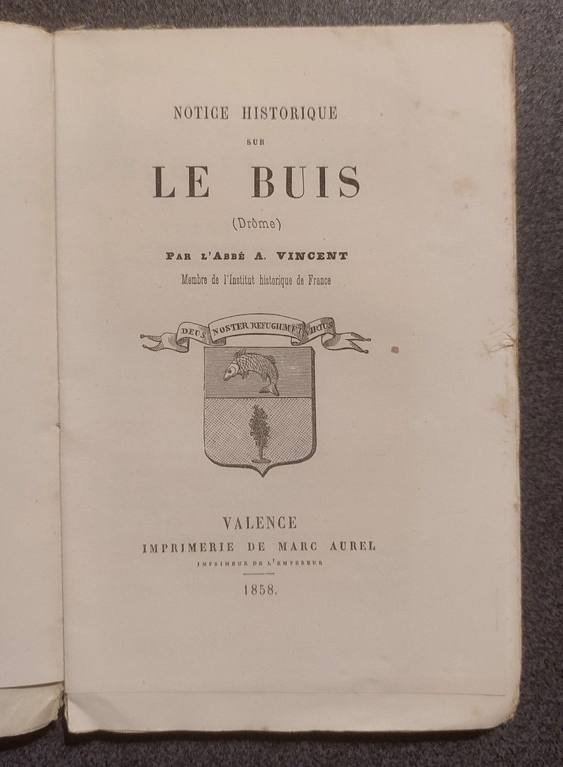 Notice historique sur Le Buis (Drôme)