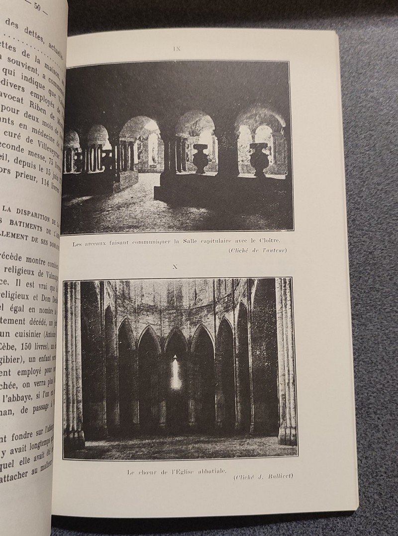 L'Abbaye Cistercienne Sainte-Marie de Valmagne. Au diocèse d'Agde en Languedoc