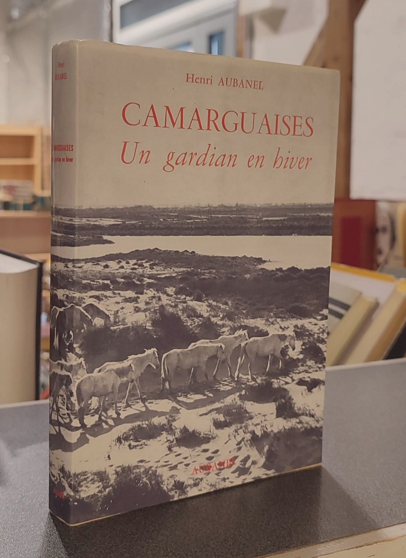 Camarguaises. Un gardien en hiver