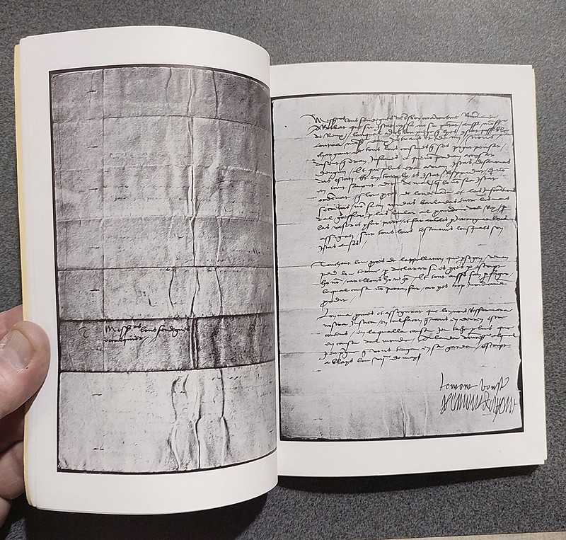 Forcalquier au temps de la peste. Délibération du Conseil municipal 1478-1479. Texte provençal intégral publié, traduit et annoté par Jean-Yves Royer