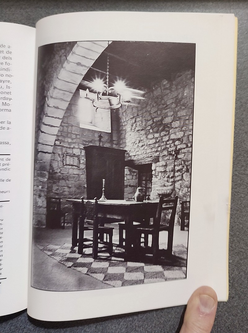 Forcalquier au temps de la peste. Délibération du Conseil municipal 1478-1479. Texte provençal intégral publié, traduit et annoté par Jean-Yves Royer