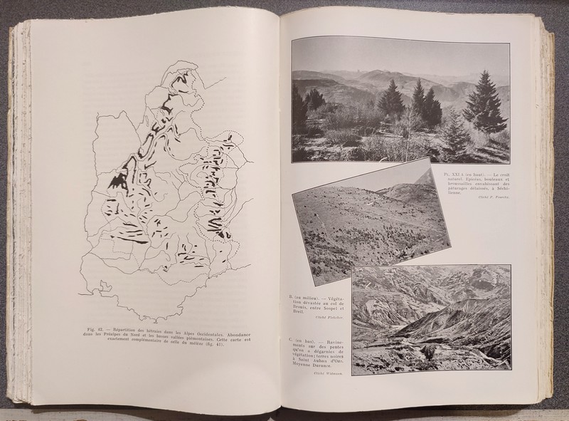 Les Alpes occidentales. Tome septième : Essai d'une synthèse