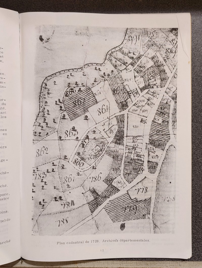 Histoire de Tournon (Savoie) des origines à la Révolution