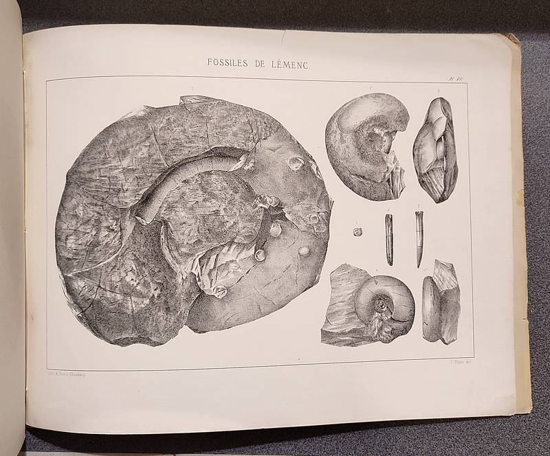 Atlas - Nouvelle description géologique et paléontologique de la colline de Lémenc sur Chambéry