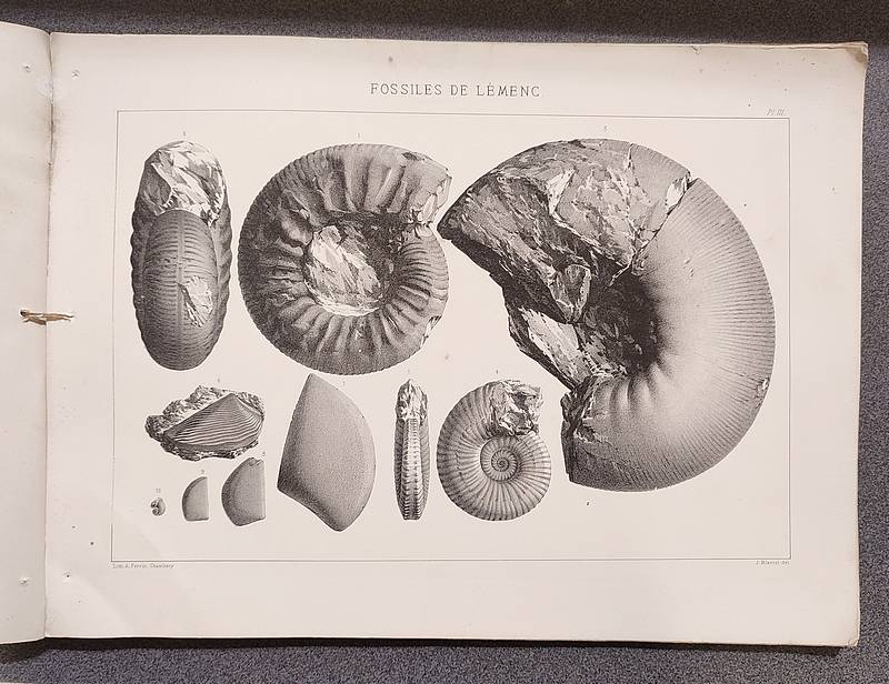 Atlas - Description géologique et paléontologique de la colline de Lémenc sur Chambéry
