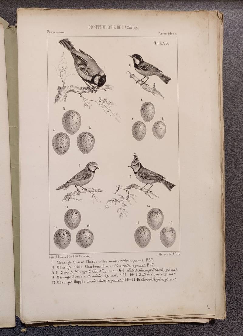 Ornithologie de la Savoie ou Histoire des Oiseaux qui vivent en Savoie à l'état sauvage soit constamment, soit passagèrement (4 volumes brochés et 109 planches).