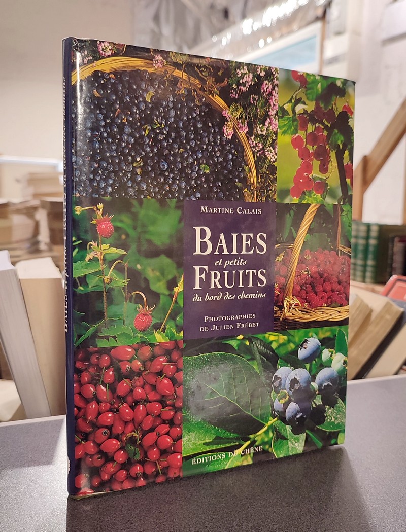 Baies et petits fruits au bord des chemins