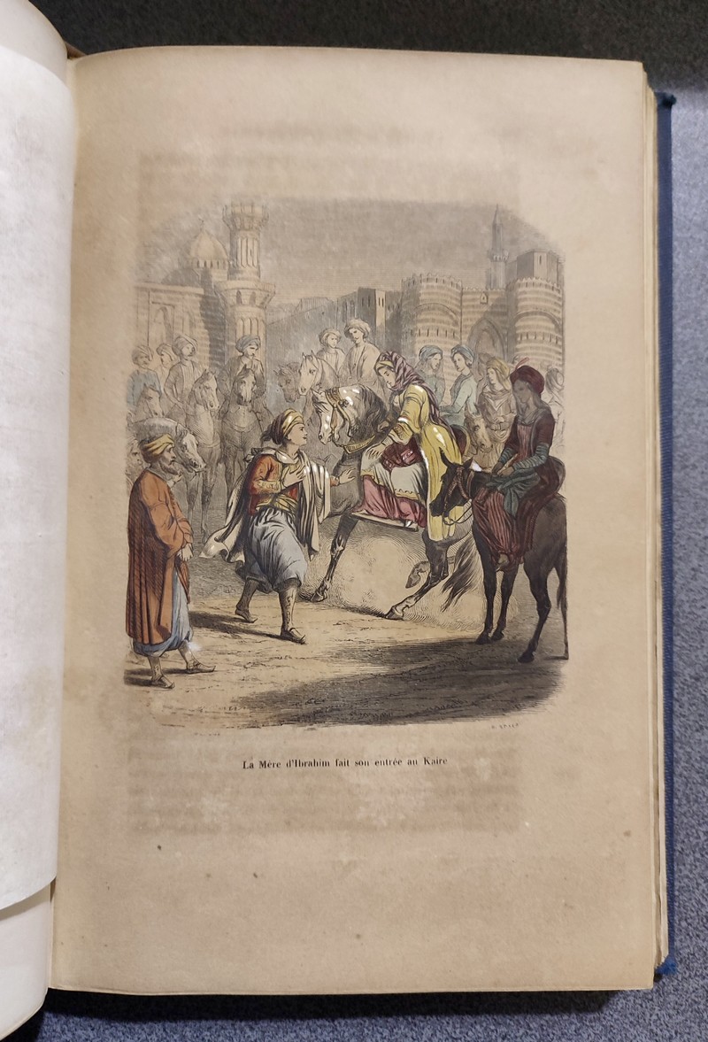 L’Égypte au XIXe siècle. Histoire militaire et politique, anecdotique et pittoresque de Méhemet-Ali, Ibrahim-Pacha, Soliman-Pacha (Colonel Sèves)