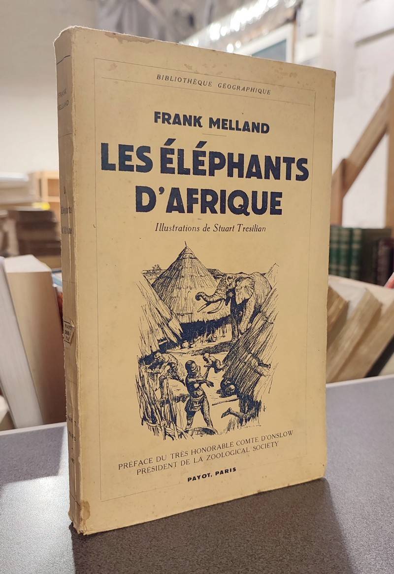 Les éléphants d'Afrique