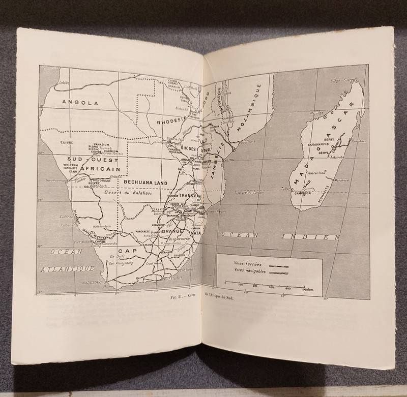 Les ressources minérales de l'Afrique. Géologie et mines, la production africaine dans le monde, la production régionale, les nouveaux problèmes