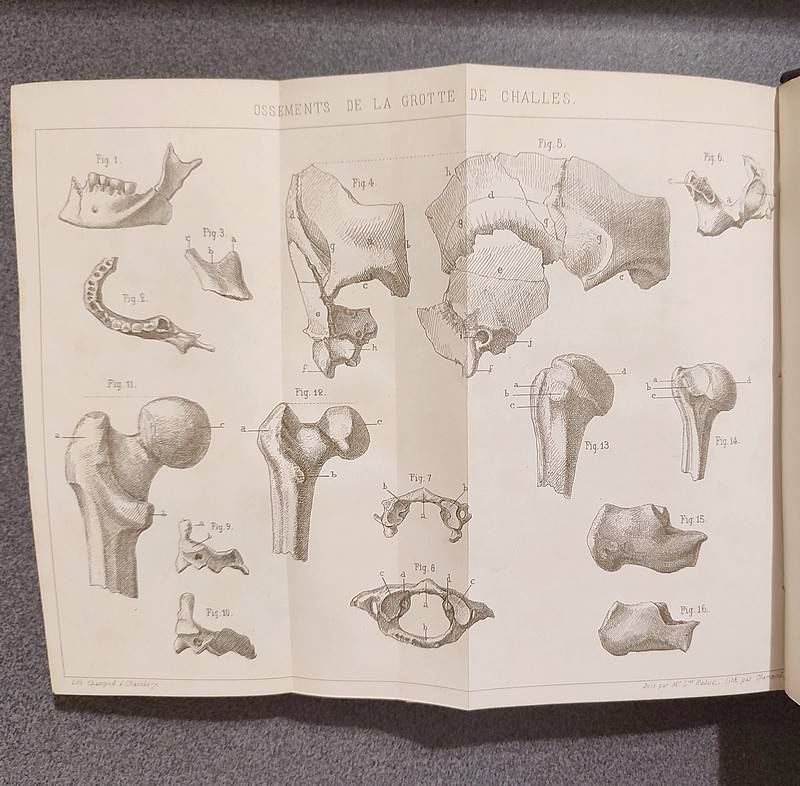 Mémoires et Documents de la Société Savoisienne d'Histoire et d'Archéologie. Tome 14, 1873-1874