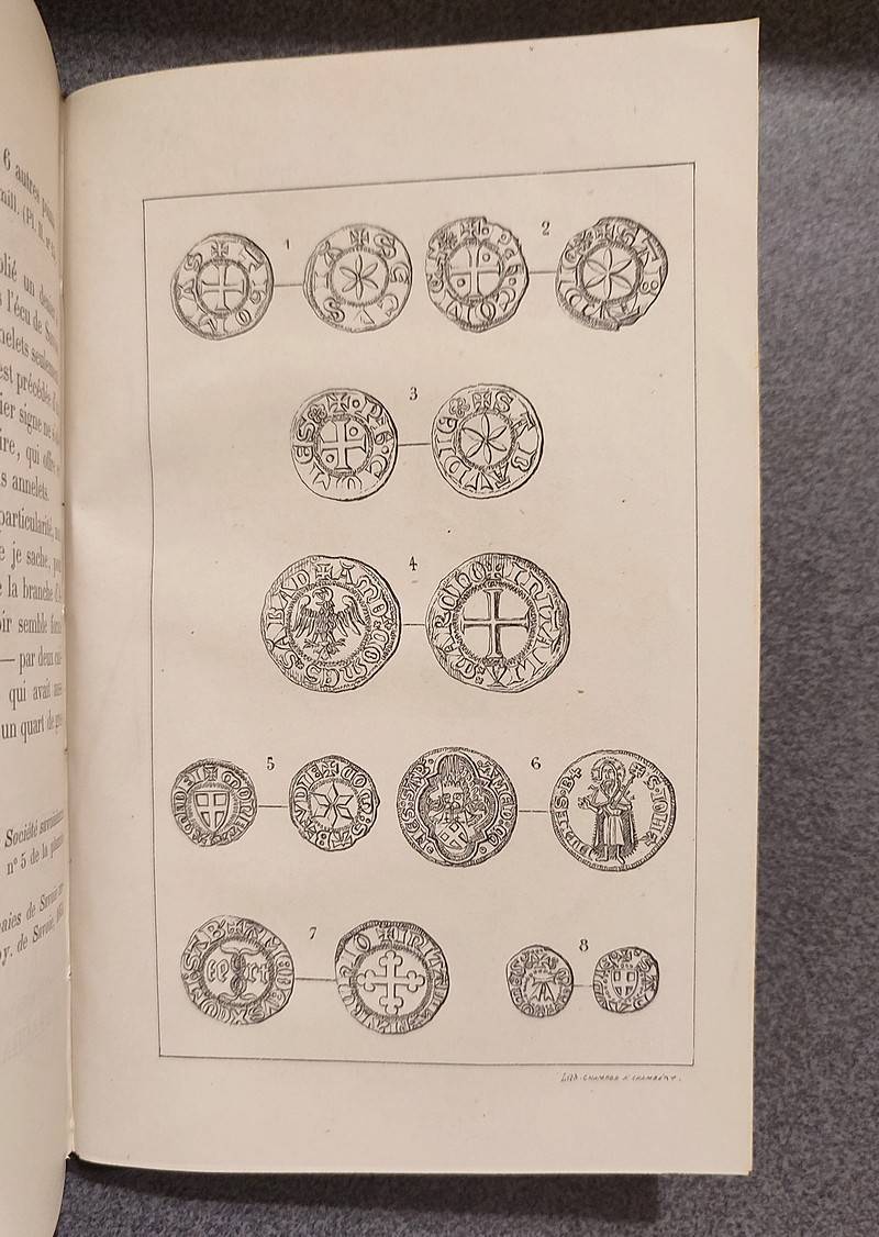 Mémoires et Documents de la Société Savoisienne d'Histoire et d'Archéologie. Tome XIX - 1881