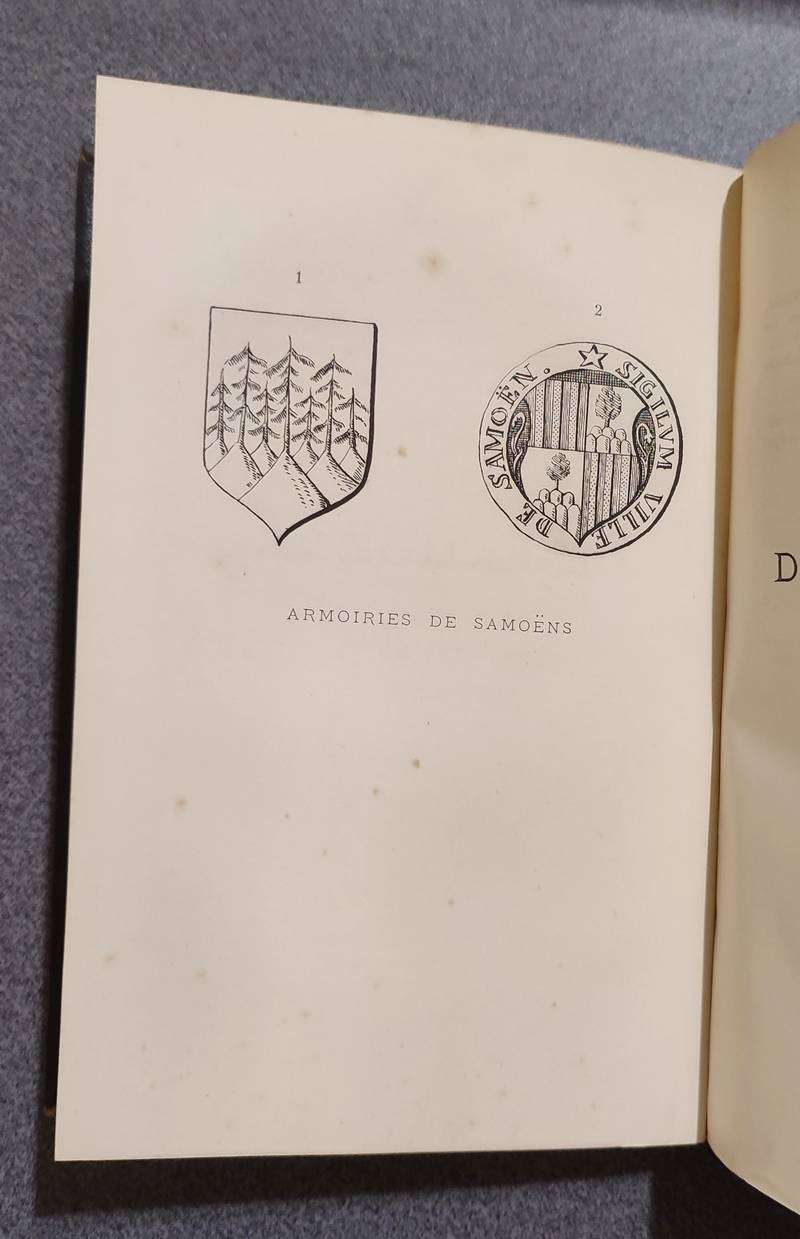 Mémoires et Documents de la Société Savoisienne d'Histoire et d'Archéologie. Tome XXXI - 1892 - Deuxième série Tome VI - Histoire de Samoëns (1762-1792)