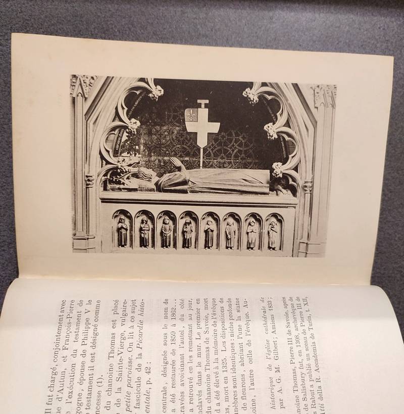 Mémoires et Documents de la Société Savoisienne d'Histoire et d'Archéologie. Tome XXXV - 1895-1896 - Deuxième série Tome X