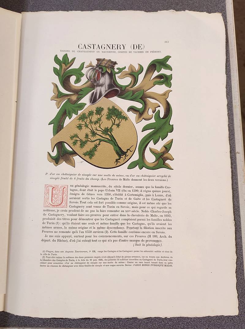 Livre ancien Savoie - Armorial et Nobiliaire de l'Ancien Duché de Savoie (Tome I - livraison 19) - Foras, Le Cte E. Amédée de