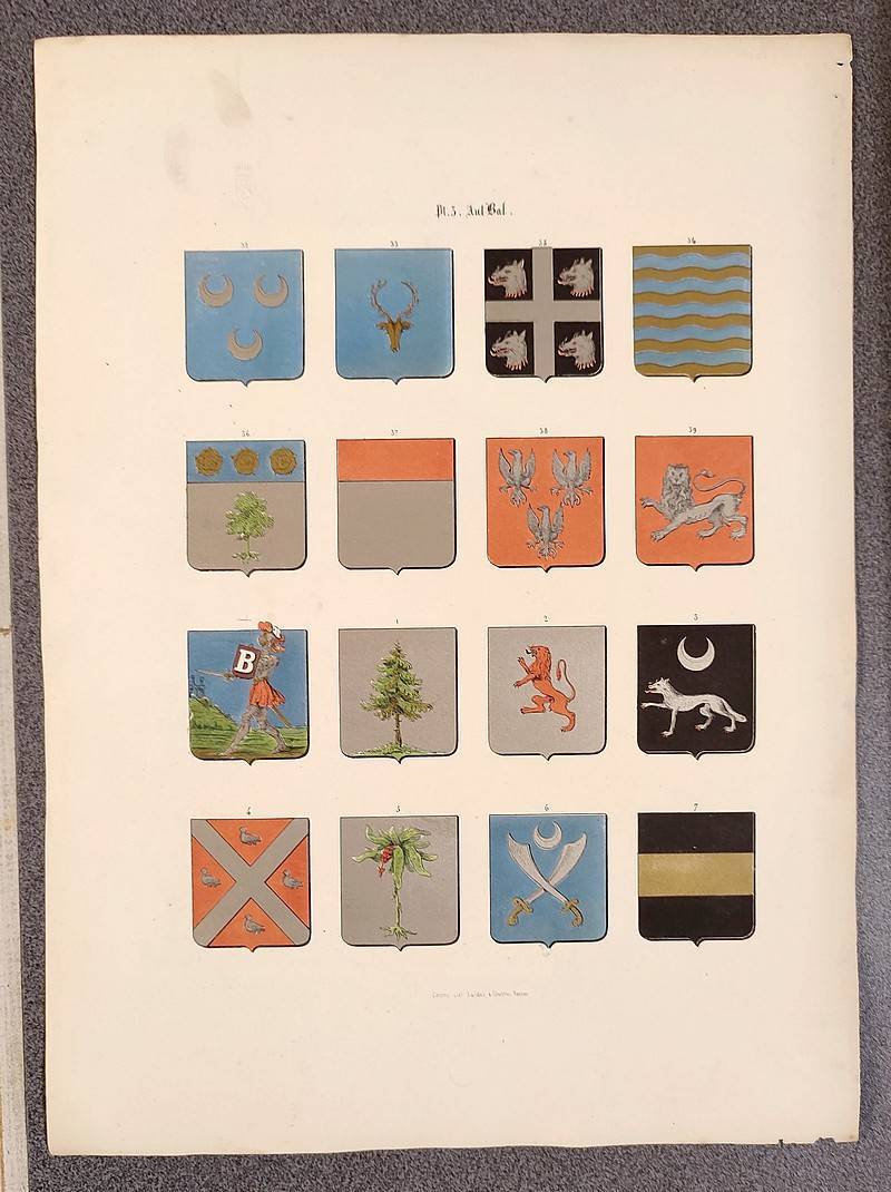 Armorial de Bretagne contenant les noms et prénoms des familles bretonnes qui ont obtenu des arrêts de la chambre de réformation établie à Rennes, de 1668 à 1671 [...] puis anoblies jusqu'en 1830... (67 livraisons telles que parues)