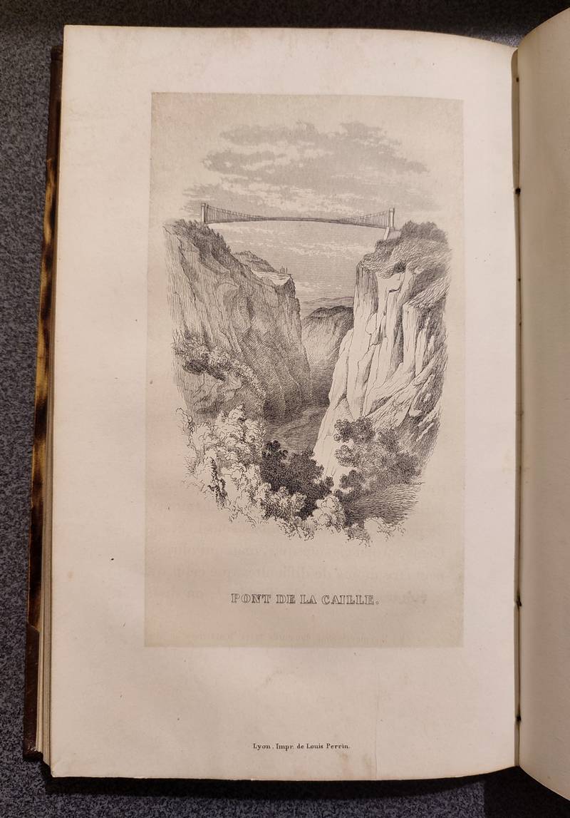 La Savoie, Voyage à Chambéry et aux Eaux d'Aix, avec des remarques sur le gouvernement, les institutions, la politique, les moeurs... Des détails historiques, géographiques, statistiques et géologique sur cette partie des états du Roi de Sardaigne