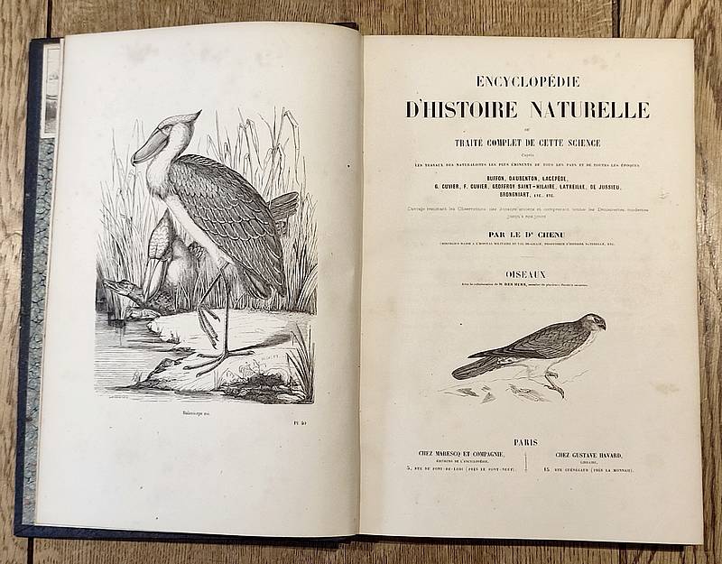 Oiseaux (6 volumes complet). Encyclopédie d'Histoire naturelle ou traité complet de Science d'après les travaux des naturalistes... Buffon, d'Aubenton, Lacépède, Cuvier, Geoffroy Saint-Hilaire