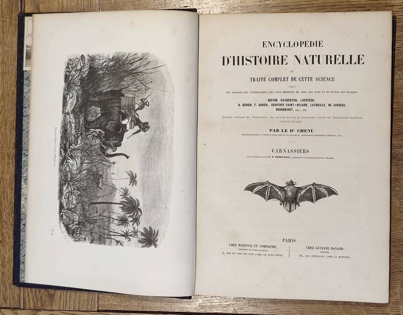 Carnassiers (2 volumes). Encyclopédie d'Histoire naturelle ou traité complet de Science d'après les travaux des naturalistes... Buffon, d'Aubenton, Lacépède, Cuvier, Geoffroy Saint-Hilaire