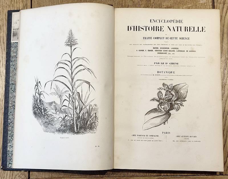 Botanique (2 volumes). Encyclopédie d'Histoire naturelle ou traité complet de Science d'après les travaux des naturalistes... Buffon, d'Aubenton, Lacépède, Cuvier, Geoffroy Saint-Hilaire