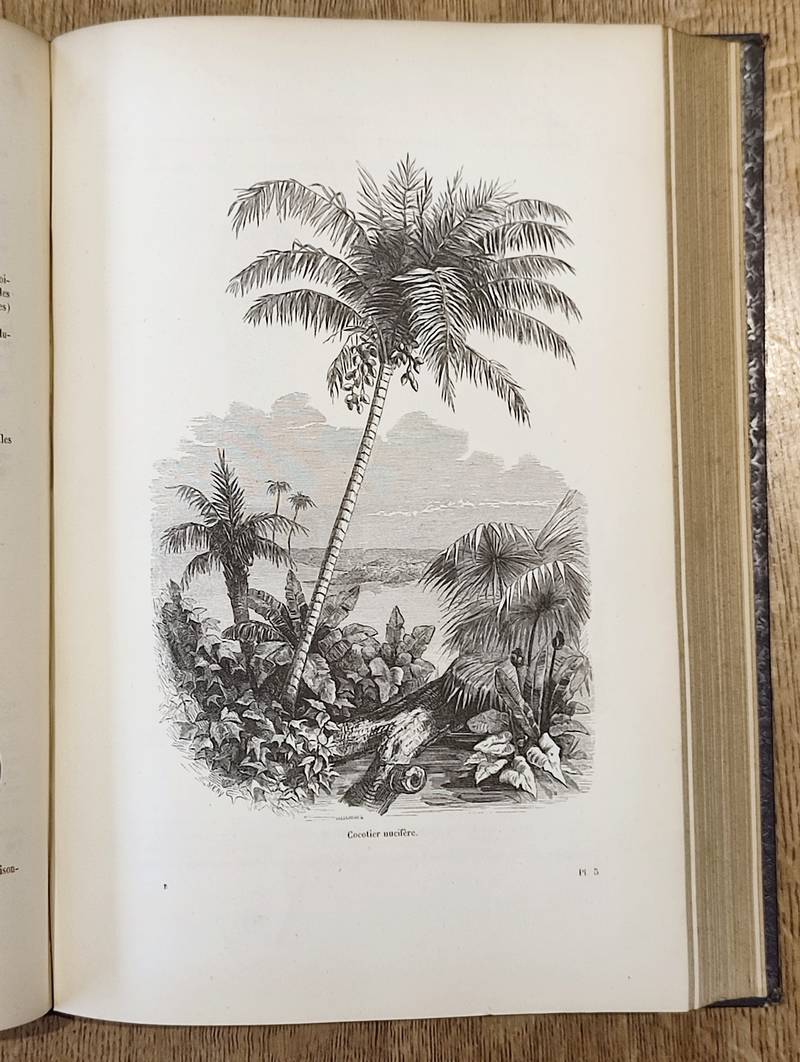 Botanique (2 volumes). Encyclopédie d'Histoire naturelle ou traité complet de Science d'après les travaux des naturalistes... Buffon, d'Aubenton, Lacépède, Cuvier, Geoffroy Saint-Hilaire