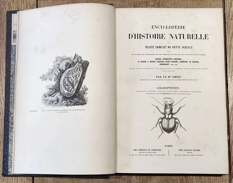 Coléoptères (2 volumes). Encyclopédie d'Histoire naturelle ou traité complet de Science d'après les travaux des naturalistes... Buffon, d'Aubenton, Lacépède, Cuvier, Geoffroy Saint-Hilaire