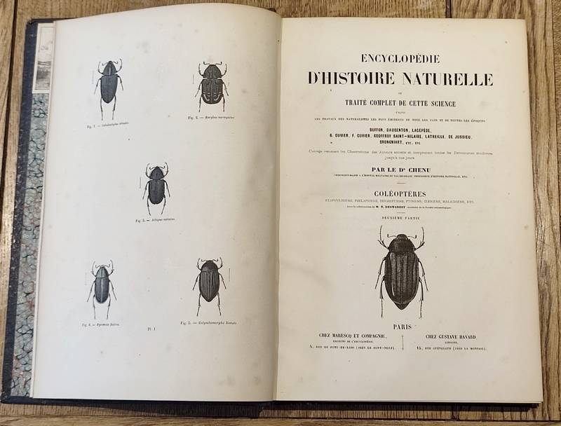 Coléoptères (2 volumes). Encyclopédie d'Histoire naturelle ou traité complet de Science d'après les travaux des naturalistes... Buffon, d'Aubenton, Lacépède, Cuvier, Geoffroy Saint-Hilaire