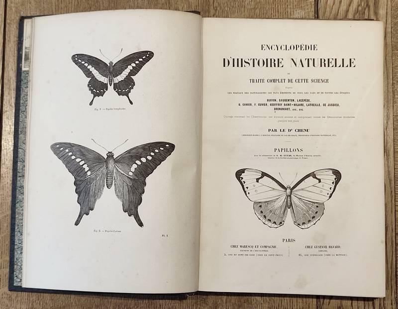 Papillons (insectes lépidoptères - Diurnes et crépusculaires). Encyclopédie d'Histoire naturelle ou traité complet de Science d'après les travaux des naturalistes... Buffon, d'Aubenton, Lacépède, Cuvier, Geoffroy Saint-Hilaire