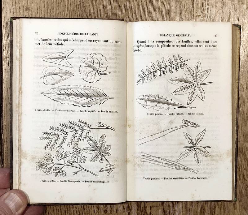 Encyclopédie de la santé (11/12 volumes) L'art de soigner les malades - Cours d'hygiène populaire - Médecine des accidents - Santé des Mères et enfants - Misères - Santé des femmes - 3 maladies incurables - Botanique médicale - Recettes et formules