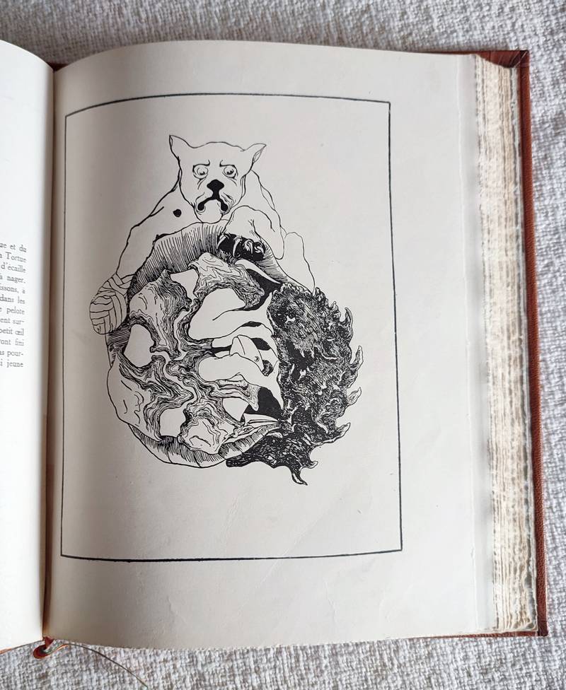 Histoires comme ça pour les petits