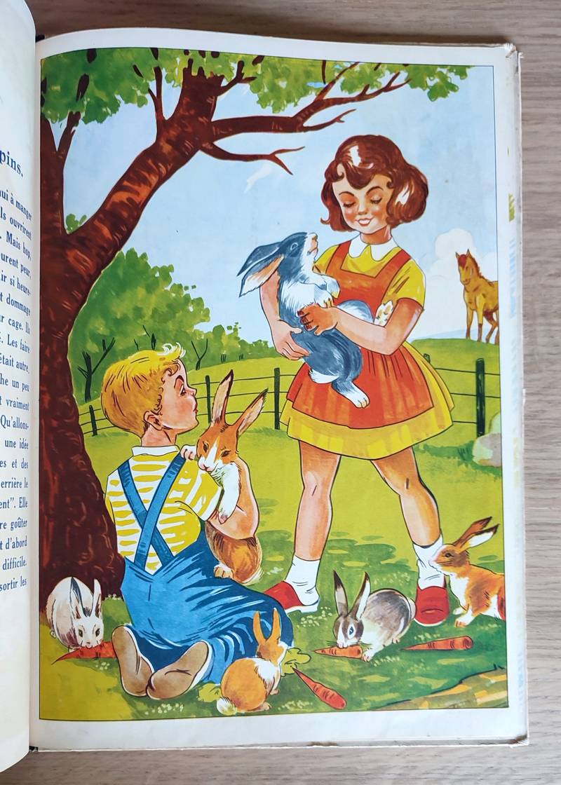Contes d'été