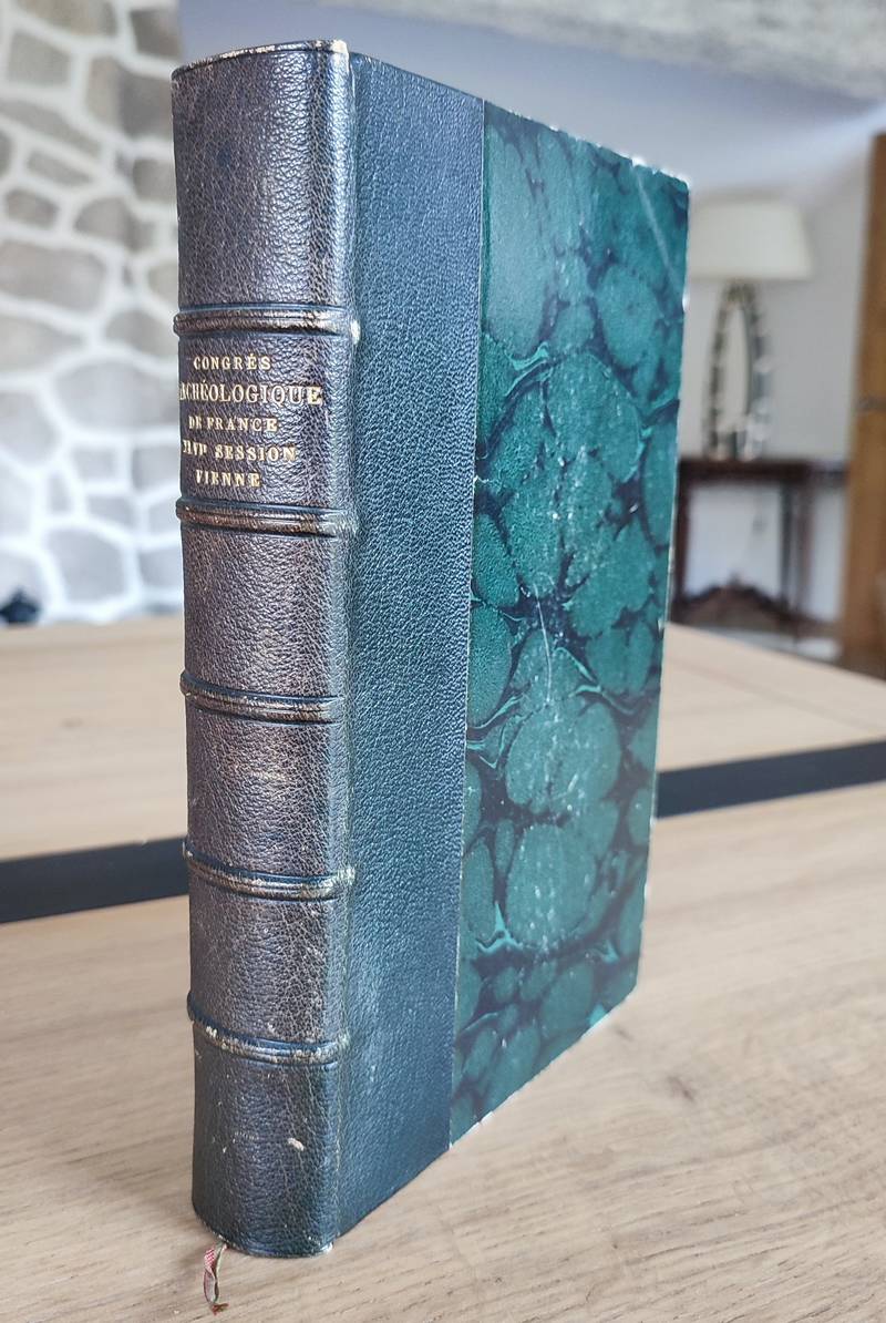 Congrès archéologique de France, XLVI session. Séances générales tenues à Vienne en 1879 par la Socitété française d'archéologie pour la...