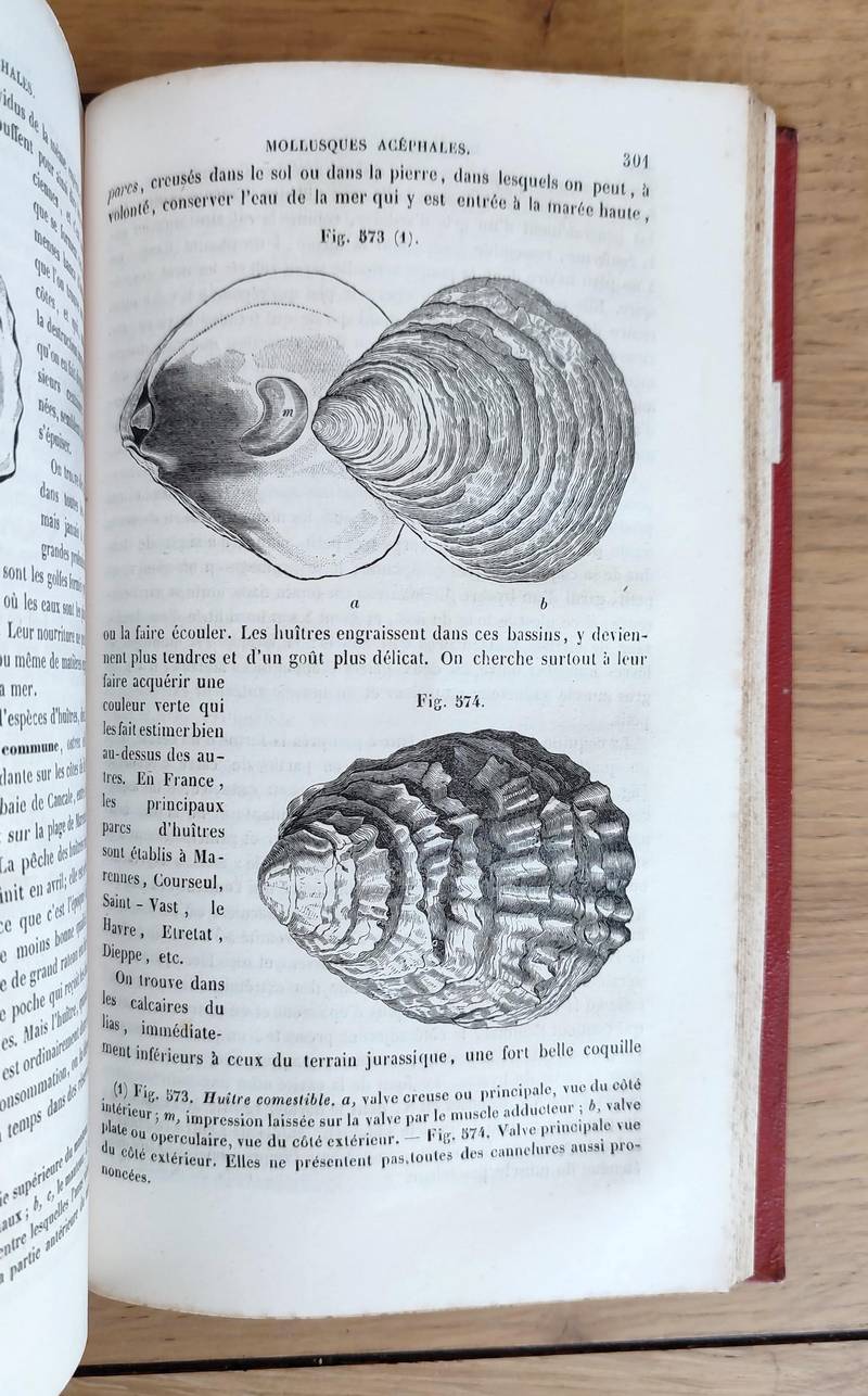 Histoire naturelle des Drogues simples (4 volumes) ou cours d'histoire naturelle professé à l'école de Pharmacie de Paris