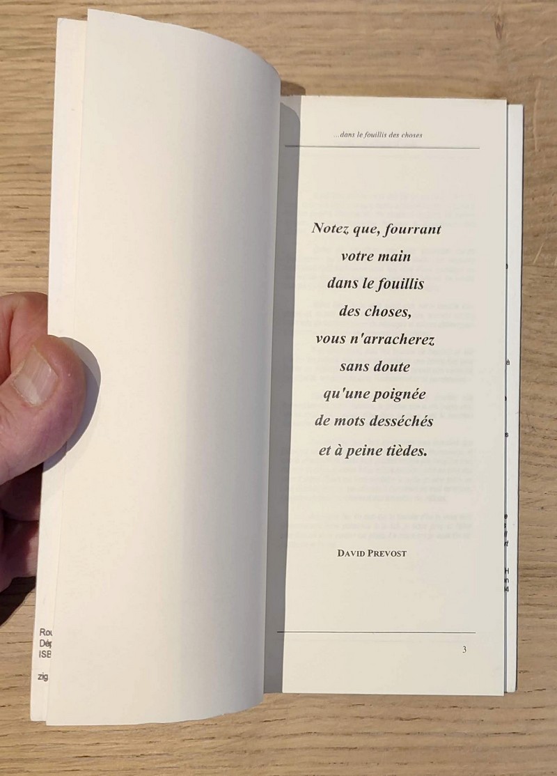 Notez que, fourrant votre main dans le fouillis des choses, vous n'arracherez sans doute qu'une poignée de mots desséchés et à peine tièdes