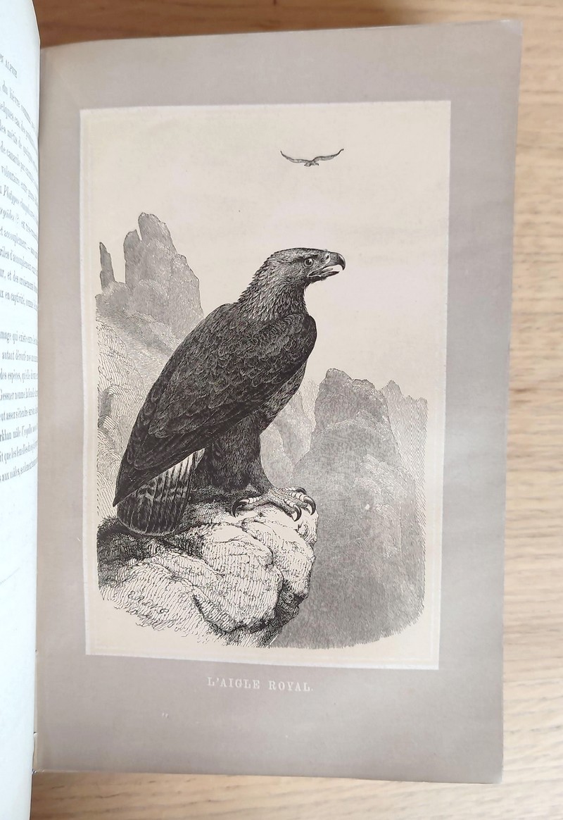 Le Monde des Alpes. Description pittoresque des montagnes de la Suisse et particulièrement des animaux qui les peuplent