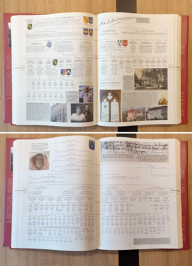 Armorial et Nobiliaire de l'ancien Duché de Savoie ou état de la noblesse savoyarde subsistante. Second volume. (Suite de l'Armorial et Nobiliaire de l'Ancien Duché de Savoie par le Comte Amédée de Foras)