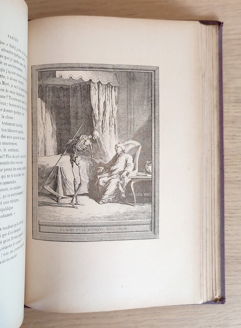 Fables de La fontaine. Édition à l'usage de la jeunesse