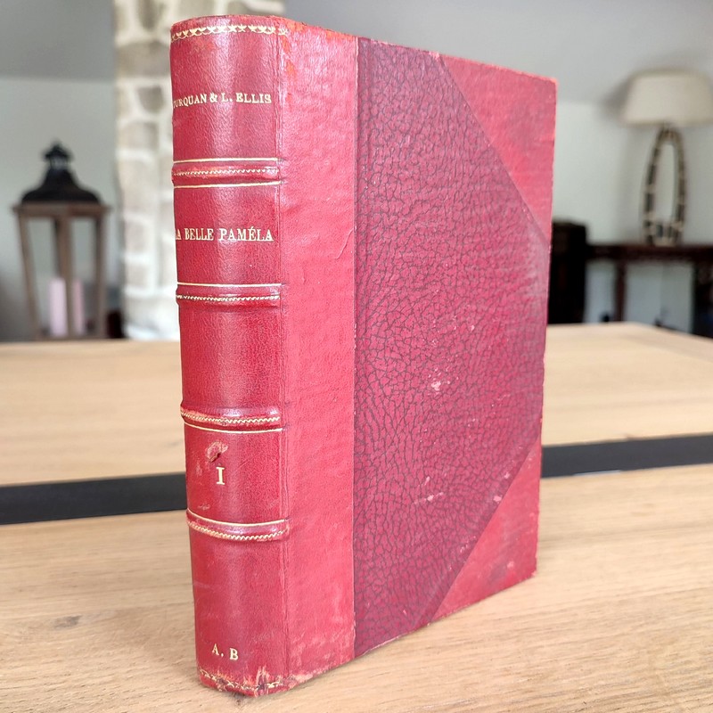 La Belle Paméla (Lady Edward Fitz Gerald) 1773 - 1831, d'après des correspondances et mémoires...