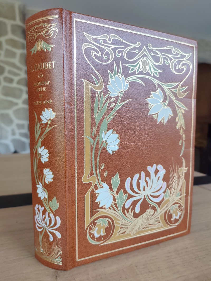 Fromont Jeune et Risler Ainé (roman)
