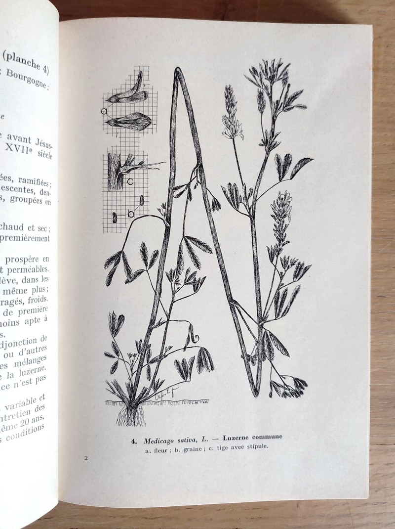 Les plantes fourragères. Description et valeur avec 54 planches et les clés permettant de déterminer les graminées avant floraison ainsi que les graines de graminées