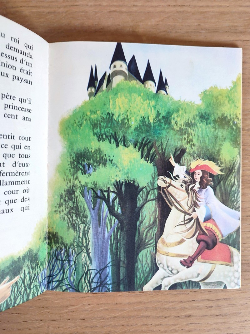 La belle au bois dormant
