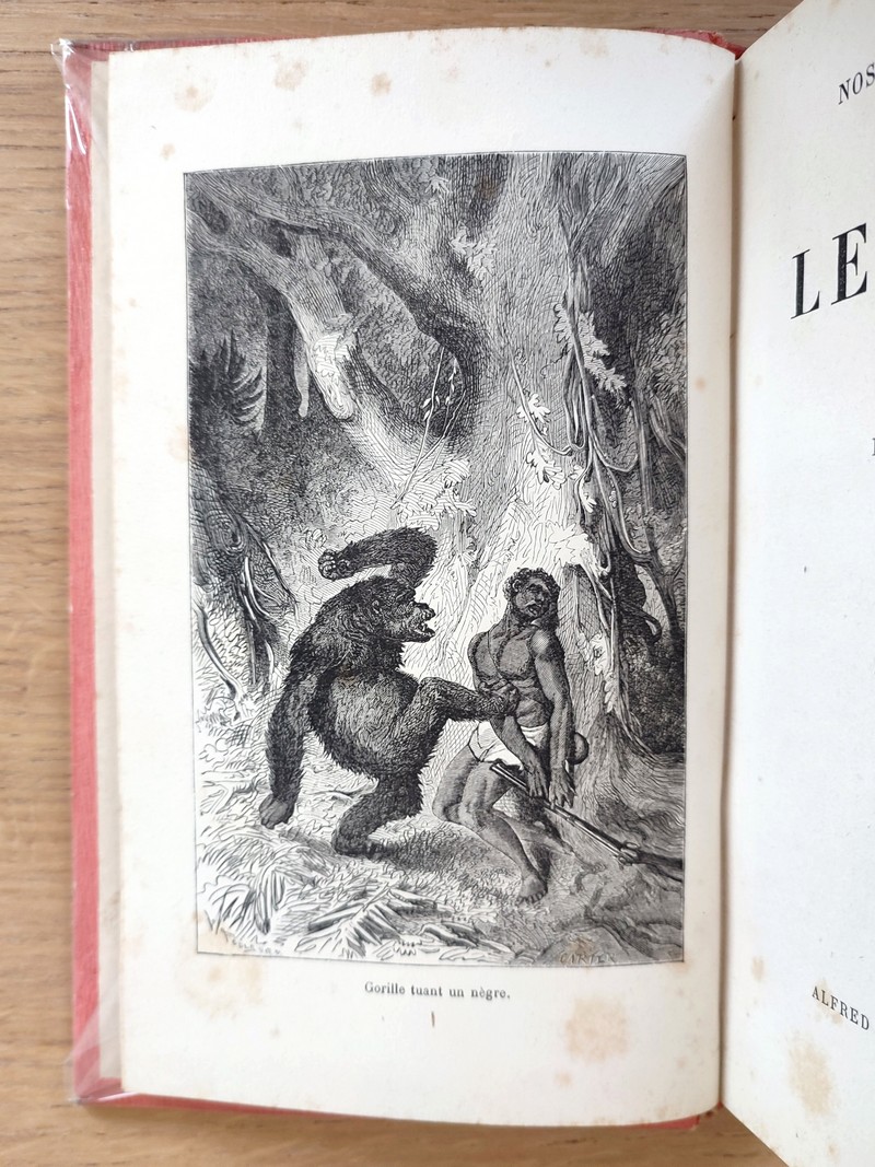 Le Congo. Nos nouvelles colonies