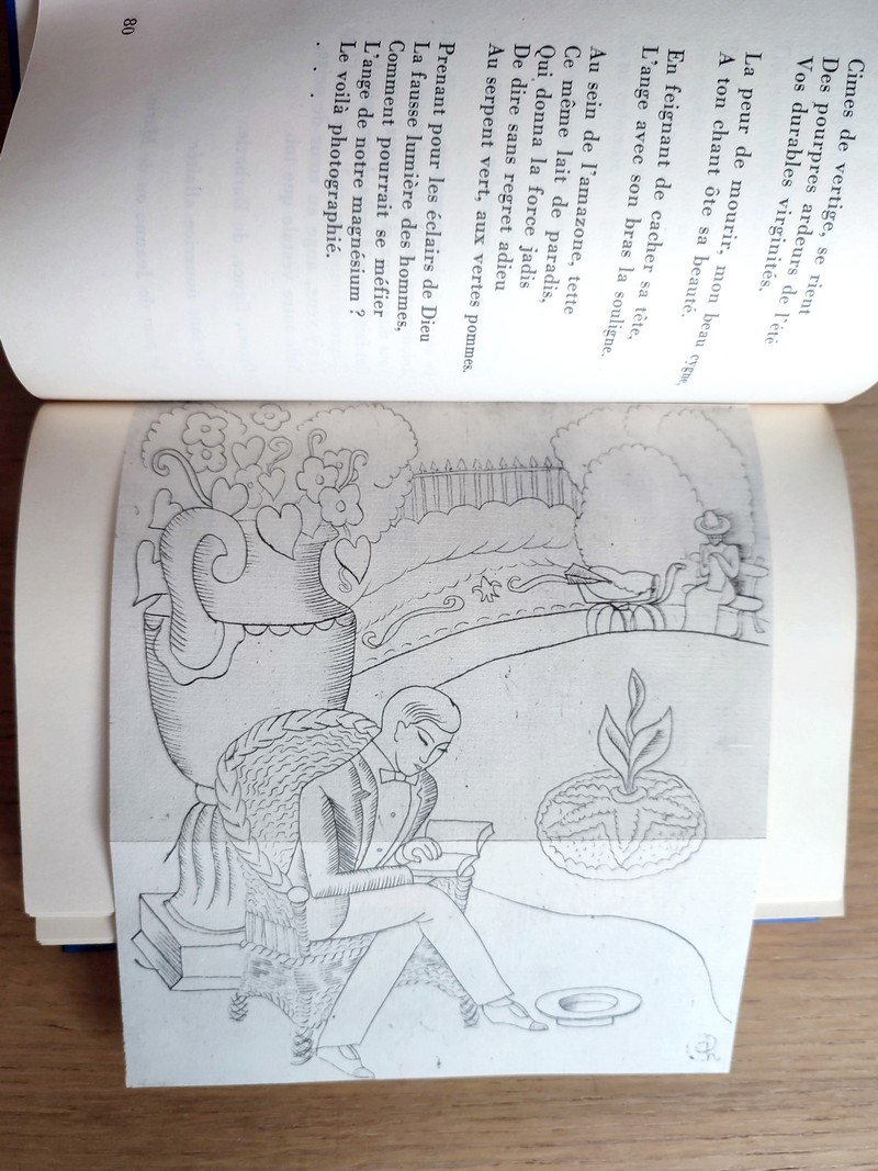 Oeuvres complètes (2 volumes). Les joues en feu - Devoir de vacances - Le bonnet d'âne - Couleurs sans danger - Paul et Virginie - Poèmes inédits - Les pélicans - Le diable au corps - Le bal du Comte d'Orgel - Textes critiques et fragments divers